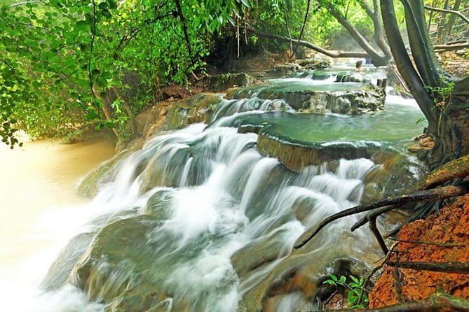 ATV Nature View Point Experience in Krabi - Inside the route: forests, farms, orchards, and palm plantations