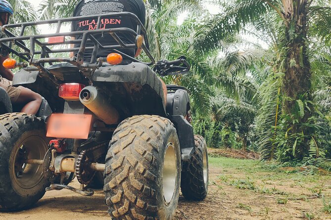 ATV Ride and Lampi Waterfall - Real-world considerations: breakdowns, water flow, and keeping expectations healthy