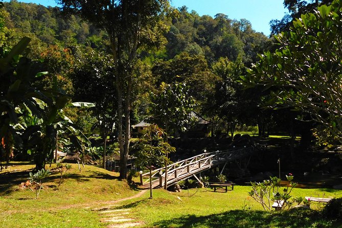 Authentic Mae Kham Pong Village Cultural Experience - What You Eat: Lunch, Dinner, Snacks, and a Self-Cooked Meal
