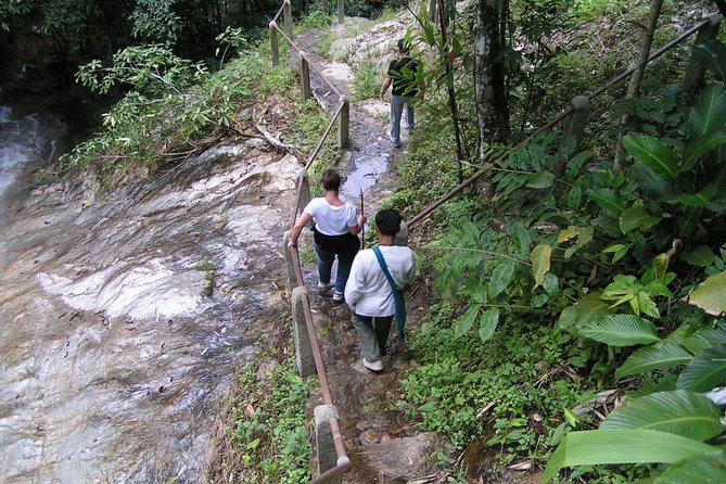 Authentic Mae Kham Pong Village Cultural Experience - Mae Kampong Village: Community-Based Life You Can See Up Close