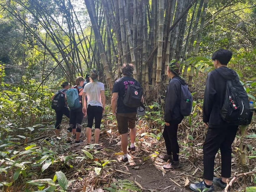 Authentic trek only walk in Chiang Rai jungle - Lisu Village First: A Slow Start That Sets the Tone