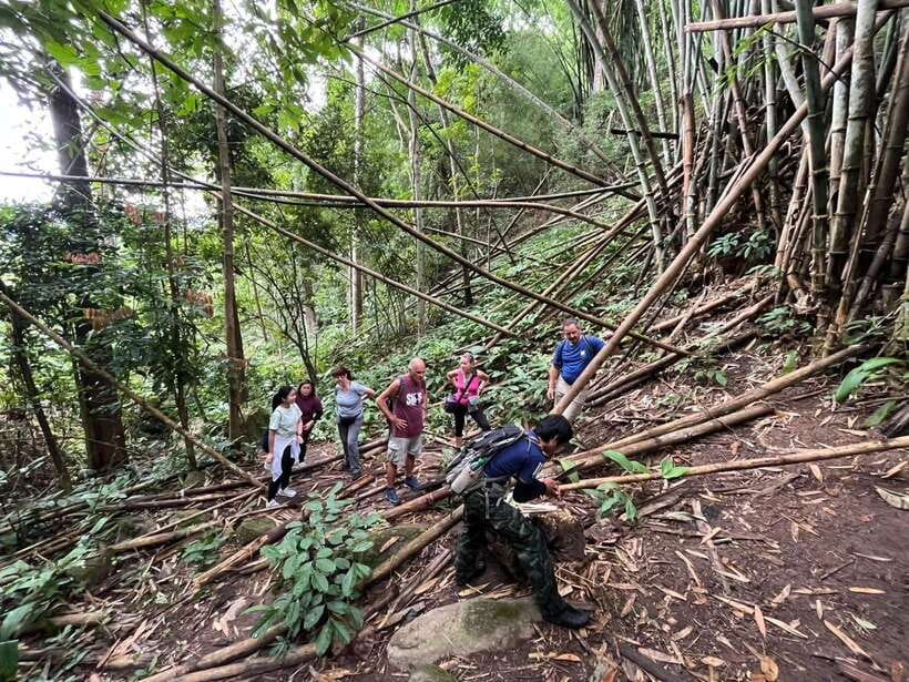 Authentic trek only walk in Chiang Rai jungle - Bamboo Cooking Lunch: The Meal You’ll Actually Talk About