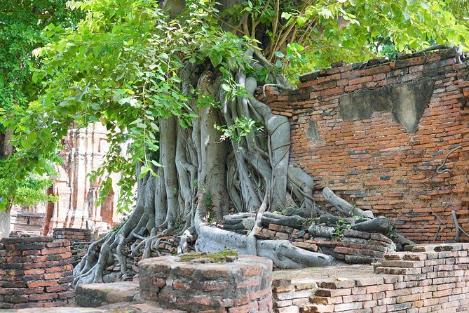 Ayutthaya Evening Tour with Dinner - Dinner included: the practical payoff of a bundled evening plan