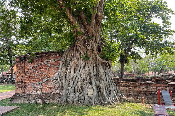 Ayutthaya Historical Old Capital day Tour from Bangkok - Wat Yai Chai Mongkol: King U-Thong, 1357, and the drama of old Ayutthaya