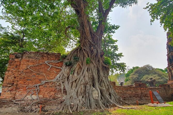 Ayutthaya Historical Park Private Car Service (No guide) - Wat Yai Chai Mongkol: A Monastery Temple Built for the Monks