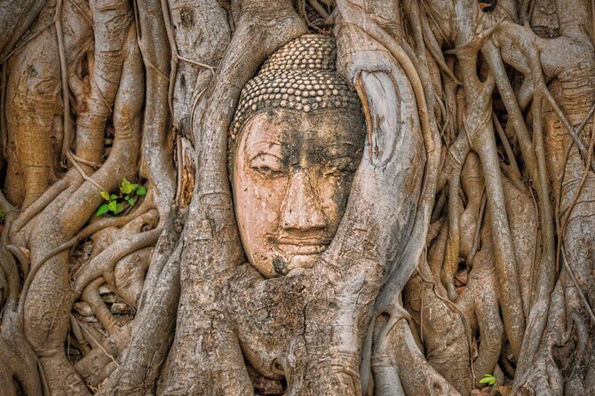 Ayutthaya Sunset Boat Ride & Famous Attraction From Bangkok - Wat Mahathat with the Buddha Head in Tree Roots