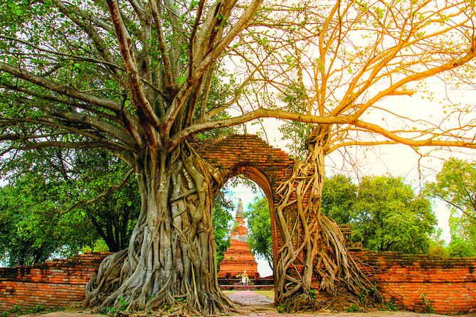 Ayutthaya Sunset Boat & UNESCO Temples: Multi-language private tour from Bangkok - Who this Ayutthaya sunset temple tour fits best