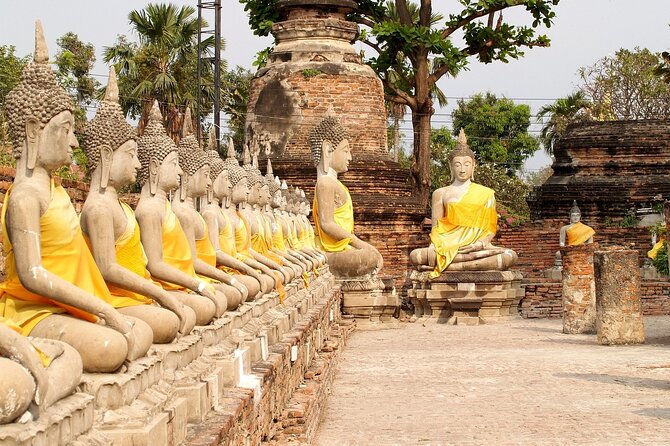 Ayutthaya Tour with Elephant Village, ATV & Floating Market - Elephant Village: what that one hour is designed to do