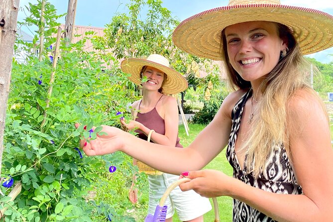 Baan Farm Thai Cooking School Chiangmai - Kru Ploy’s Hands-On Kitchen Lesson (and Why It’s Not Just Watching)
