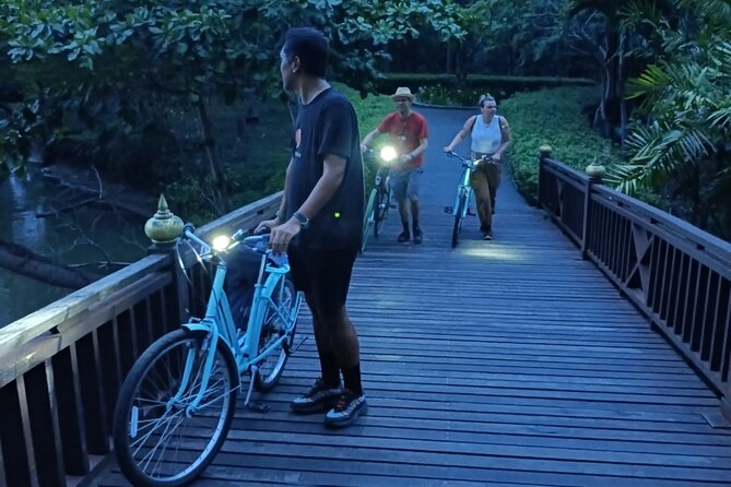 Bamboo Bicycle Tour in twilight: watch dancing Fireflies in Bangkok - The firefly part: what you should realistically expect