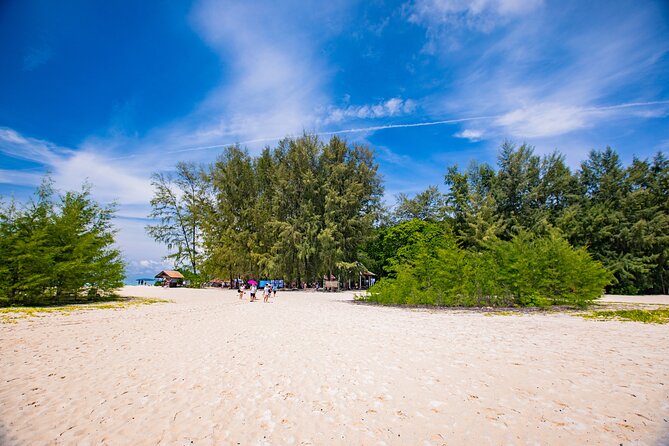 Bamboo Island and Phi Phi Island Full Day Tour From Phuket - Price and value: what you get for $82.74, and what extra may appear