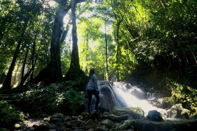 Bamboo Rafting and Jungle Tour From Phuket - Included Lunch: What You’re Actually Paying For