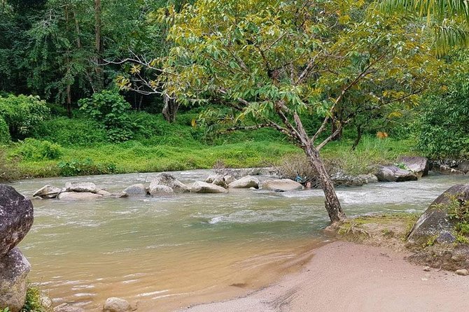 Bamboo Rafting, ATV Riding and Zip Line Tour From Phuket - ATV in the Jungle (Plus the Road Reality)