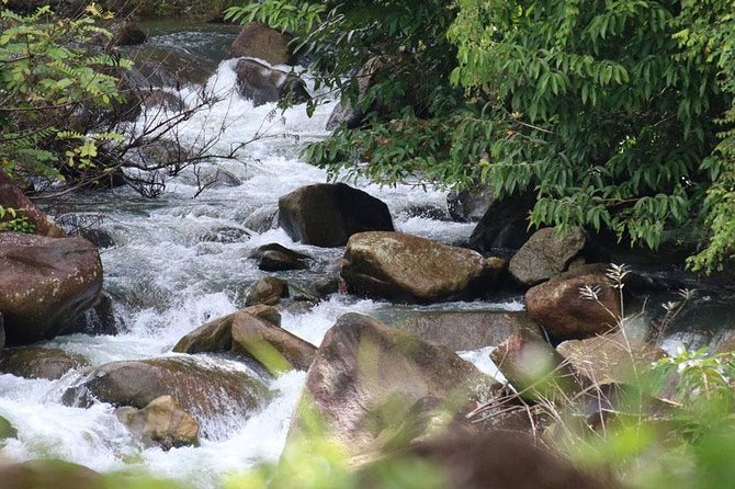 Bamboo Rafting, ATV Riding and Zip Line Tour From Phuket - Zip Line 150m: Sky Time That’s Not Scared of Rainforest Views