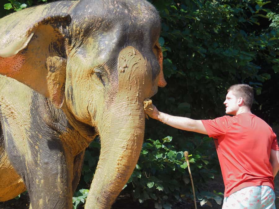 Bamboo Rafting, Waterfall, lunch, Elephant, and Turtle Tour - Thai lunch by the beach: a break that actually fuels the rest