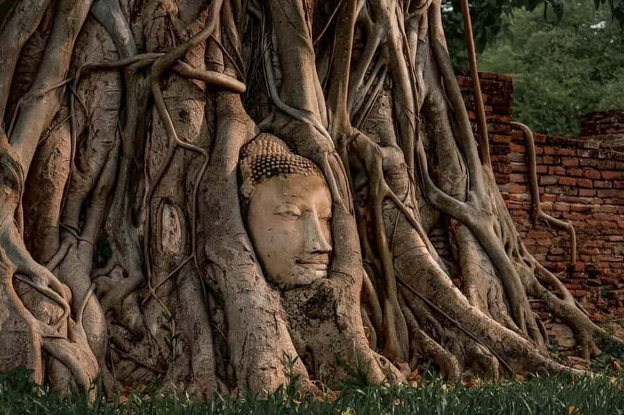 Bangkok: Ayutthaya 3 Historic Attractions Private Day Tour - Packing and dress tips that keep the day smooth