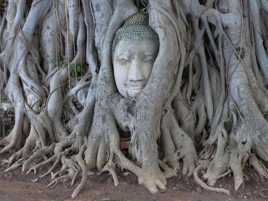 Bangkok: Ayutthaya & Local Market Tour In Spanish or English - Key highlights you’ll actually care about