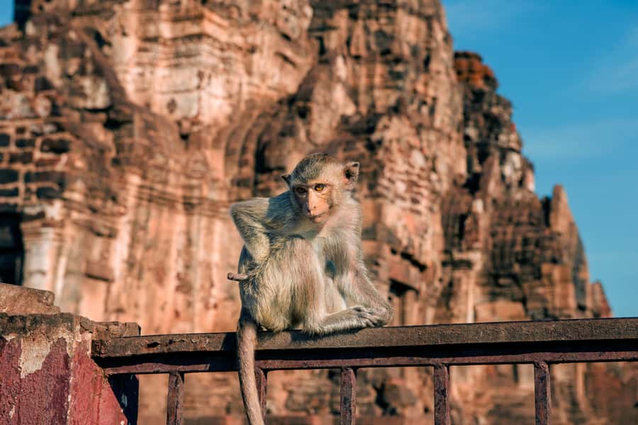 Bangkok: Ayutthaya & Lopburi Monkey Temple Private Day Trip - Wat Phu Khao Thong: a golden-mount prelude outside the main ruins