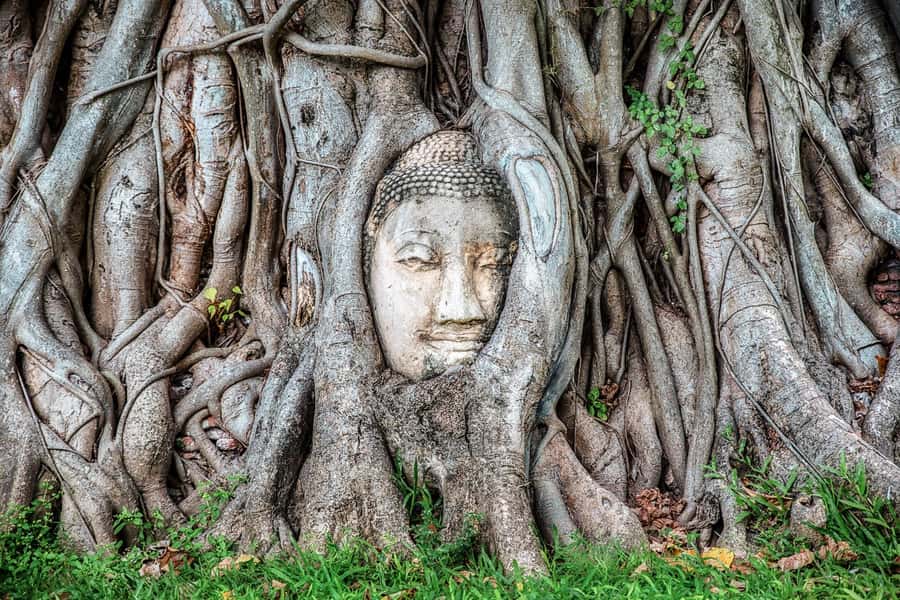 Bangkok: Ayutthaya & Lopburi Monkey Temple Private Day Trip - Phra Prang Sam Yod Monkey Temple: feeding macaques without losing your stuff