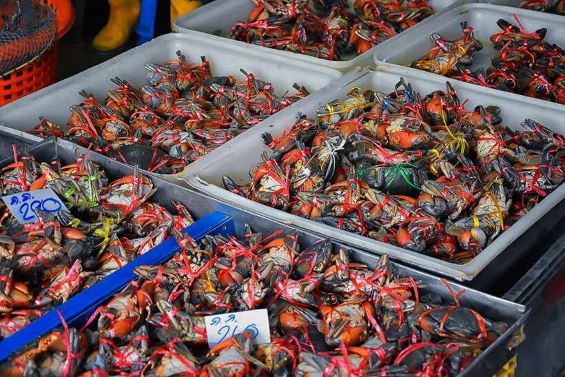 Bangkok: Damnoen Saduak Market and Maeklong Railway Market - What to bring (so heat and crowds don’t slow you down)