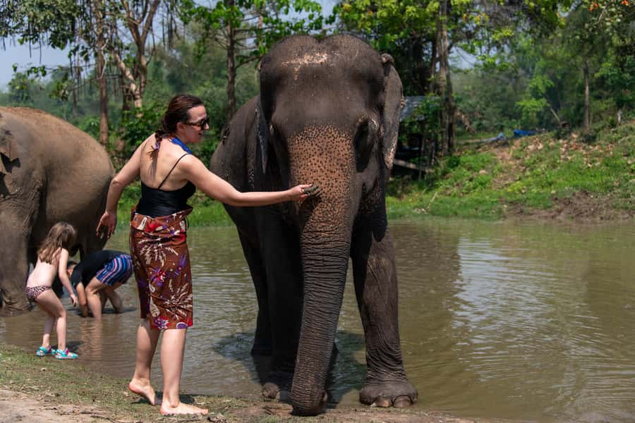 Bangkok: Elephant Sanctuary & Erawan Waterfall Tour - ElephantsWorld sanctuary: feeding, mud bath, and how the interaction is supposed to feel
