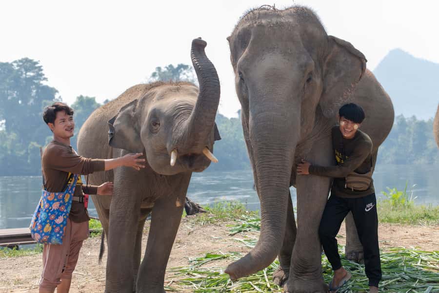 Bangkok: Elephant Sanctuary & Erawan Waterfall Tour - Erawan National Park and the seven-tier waterfall: how to handle levels, swims, and crowds