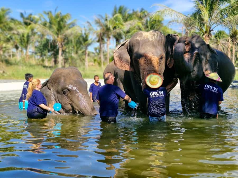 Bangkok: Elephant Sanctuary &Khao Kheow Open Zoo (Moodeng) - Key Highlights You’ll Care About