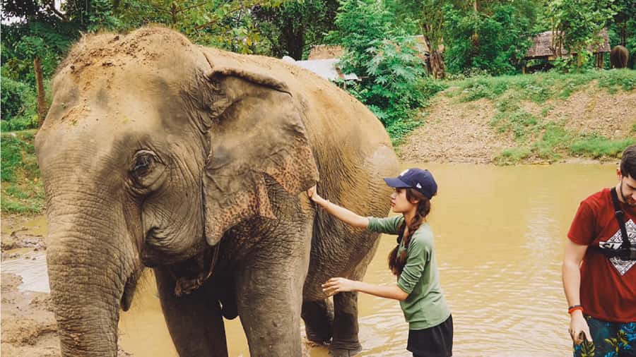 Bangkok: Elephants World & Erawan Waterfall in Kanchanaburi - Key things I’d notice before you book