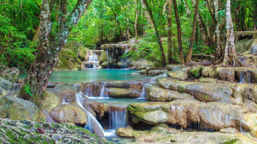 Bangkok: Elephants World & Erawan Waterfall in Kanchanaburi - From Bangkok to Kanchanaburi: how the timing actually plays