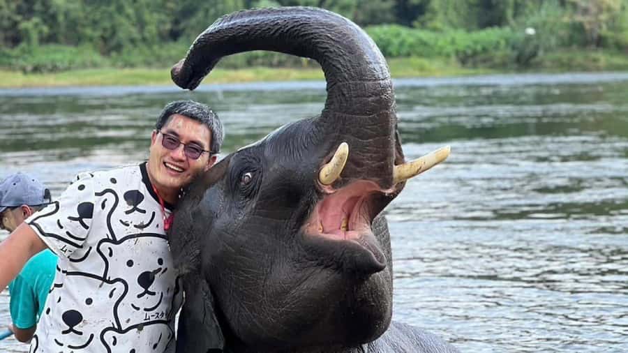 Bangkok: Elephants World & Erawan Waterfall in Kanchanaburi - Lunch at the elephant camp: a real meal before the falls