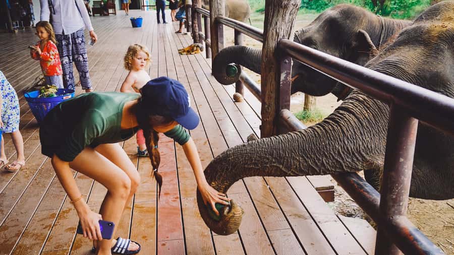 Bangkok: Elephants World & Erawan Waterfall in Kanchanaburi - Erawan Waterfall: turquoise tiers and what to plan for