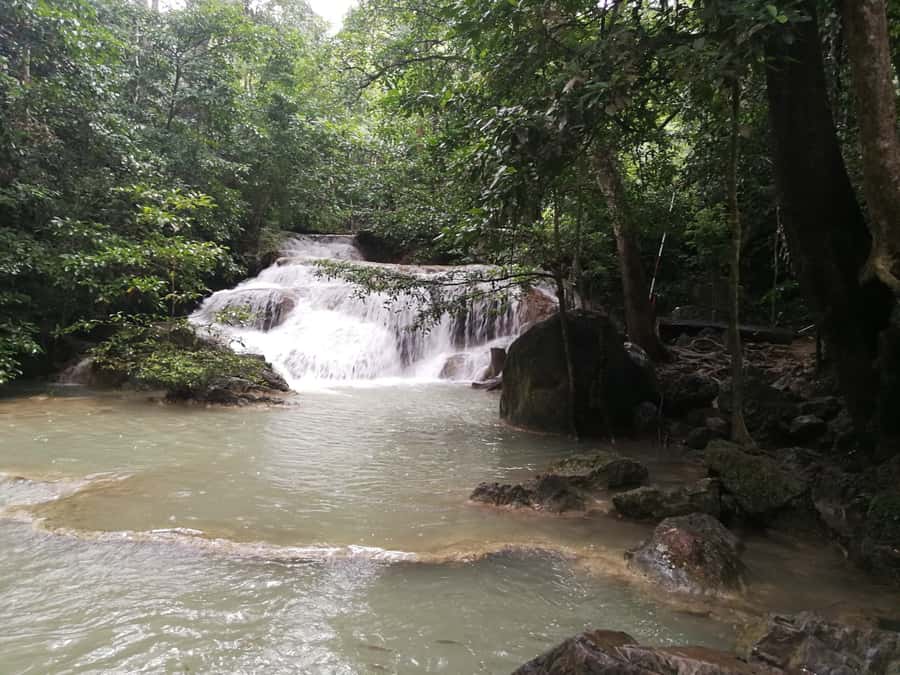 Bangkok: Erawan Park & Elephant observation Private Tour - Erawan National Park: climbing the seven cascades before the day heats up