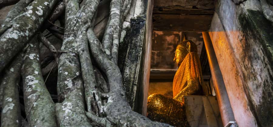 Bangkok: Floating & Maeklong Markets Tour by Private Charter - Wat Bang Kung and Wat Chulamanee: Temples That Add Calm
