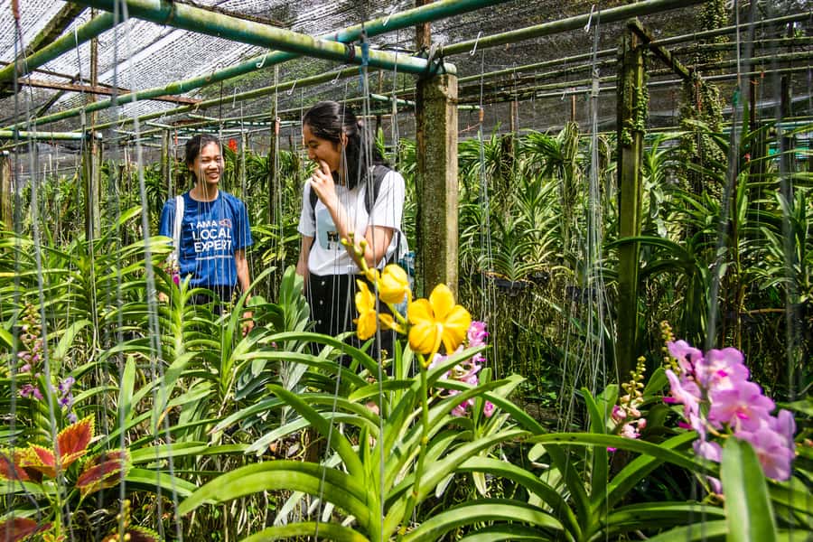 Bangkok Floating Market & Boat Ride to an Orchid Farm - Why Khlong Lat Mayom Beats the Usual Floating Market Stops