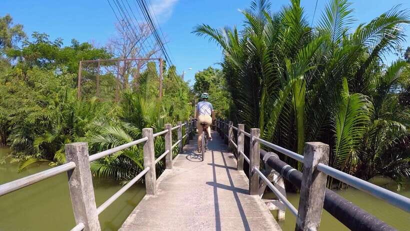 Bangkok green oasis guided bike tour with boat ride - The Park Break and Fish Feeding: A Small Scene That Feels Like a Reset
