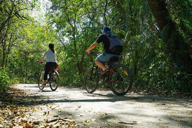 Bangkok Green Oasis Nature Bike Tour - Why This Bike Tour Hits the Sweet Spot in Bangkok