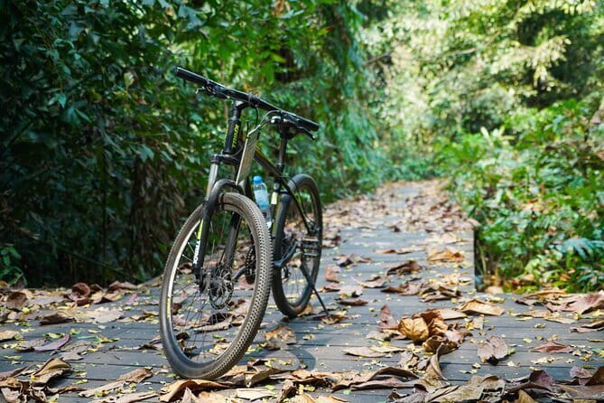Bangkok Green Oasis Nature Bike Tour - Stop 2: Sri Nakhon Khuean Khan Park and Botanical Garden