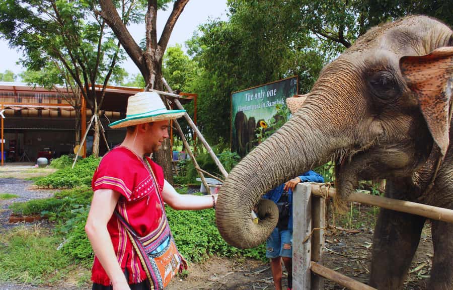 Bangkok Highlights: Ethical Elephant Care and Buffet Lunch - Why This Elephant Park Tour Feels Different in Bangkok