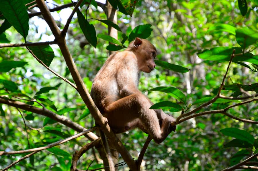 Bangkok: Kanchanaburi and Erawan Waterfall Private Tour - Price and Value: Is $195 Worth It?