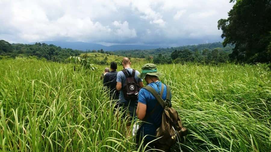 Bangkok: Khao Yai Nature Trails & Heaw Suwat Waterfall - Nong Phak Chi Nature Trail: Where the Ranger-Led Hike Changes Everything