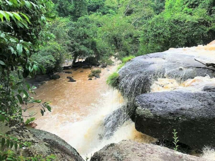 Bangkok: Khao Yai Nature Trails & Heaw Suwat Waterfall - Wildlife Watching: What You Can Realistically Aim For