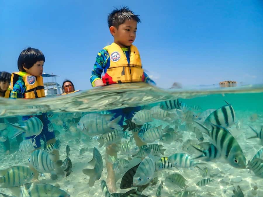 Bangkok: Nemo Island Day Trip with Drone Photos and Lunch - Who Should Book This (and Who Should Skip It)