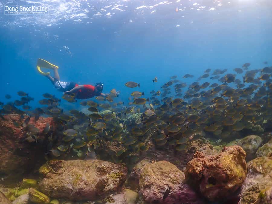 Bangkok: Nemo Island Day Trip with Drone Photos and Lunch - Samae San Island Time: Swim, Snorkel, and Use the Extra Water Play