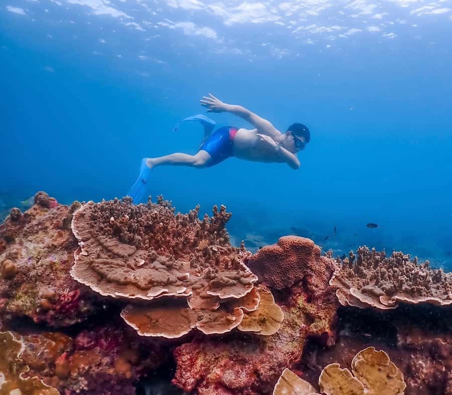 Bangkok: Nemo Island Day Trip with Drone Photos and Lunch - Underwater Photos, Video, and Drone Shots: Your Souvenir Plan