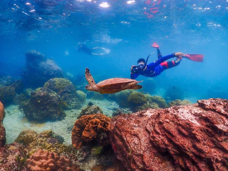Bangkok: Nemo Island Day Trip with Drone Photos and Lunch - Lunch by the Sea: Simple Food After a Big Water Day