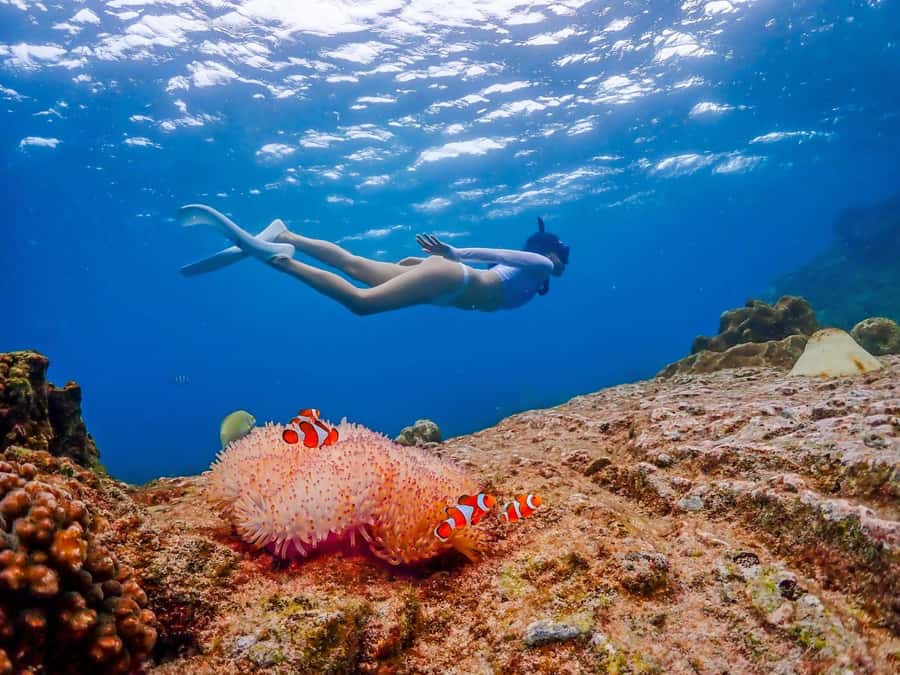 Bangkok: Nemo Island Day Trip with Drone Photos and Lunch - The Photo-Forward Stops on the Way Out