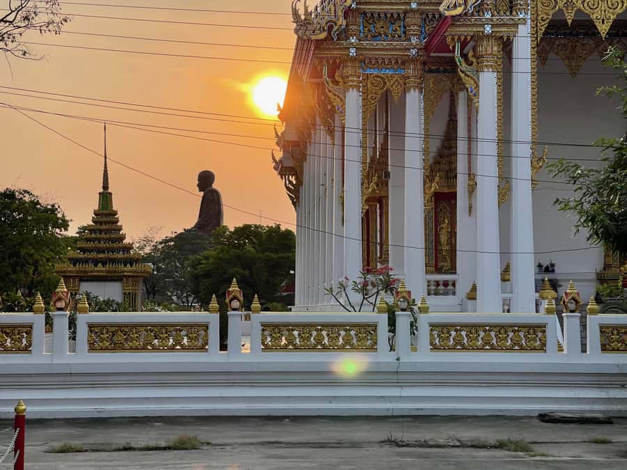 Bangkok Paradise Bicycle & Boat Tour - The canal stretch: orchids, green edges, and small communities