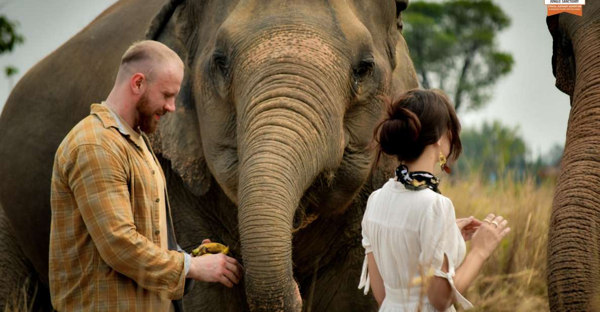 Bangkok: Pattaya Elephant Jungle Sanctuary Half-Day Tour - The Guide Factor: Why Nana and Mahouts Change the Whole Day
