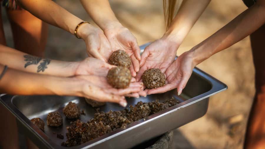 Bangkok: Pattaya Elephant Jungle Sanctuary Half-Day Tour - Facilities and Comfort: The Small Things That Save the Experience