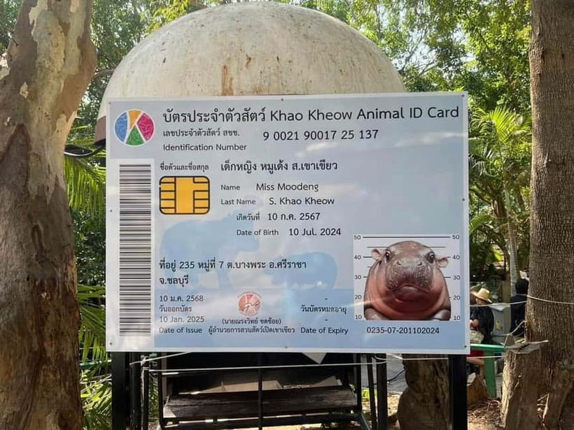Bangkok/Pattaya: Khao Kheow Zoo Private Tour with Pickup - Skip the Ticket Line, Not the Planning